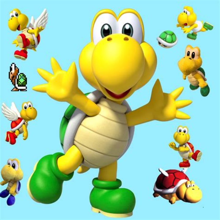 Are Koopa Troopas good or bad?