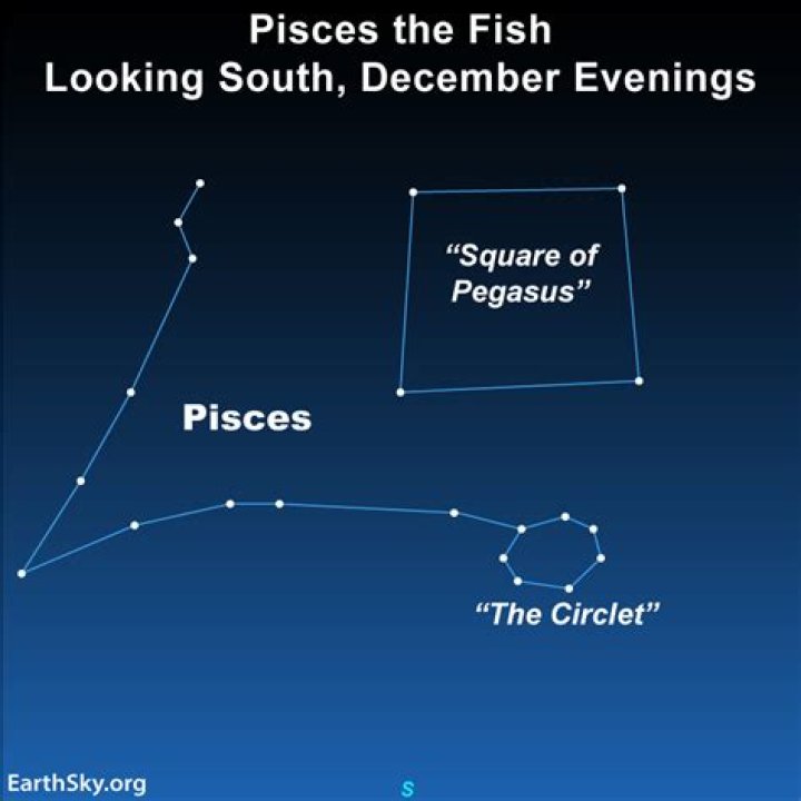 Are Pisces flirty?