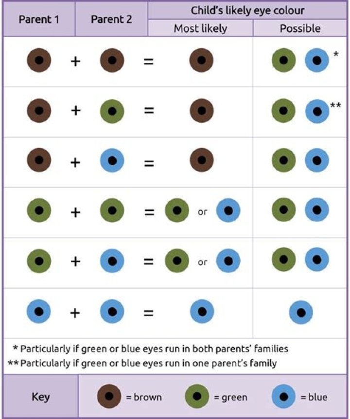 Can 2 blue eyed parents have a hazel eyed child?