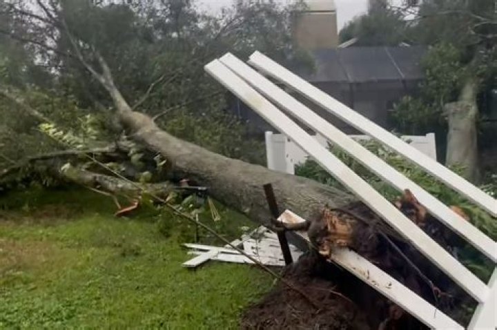 Can a tree crash through a house?