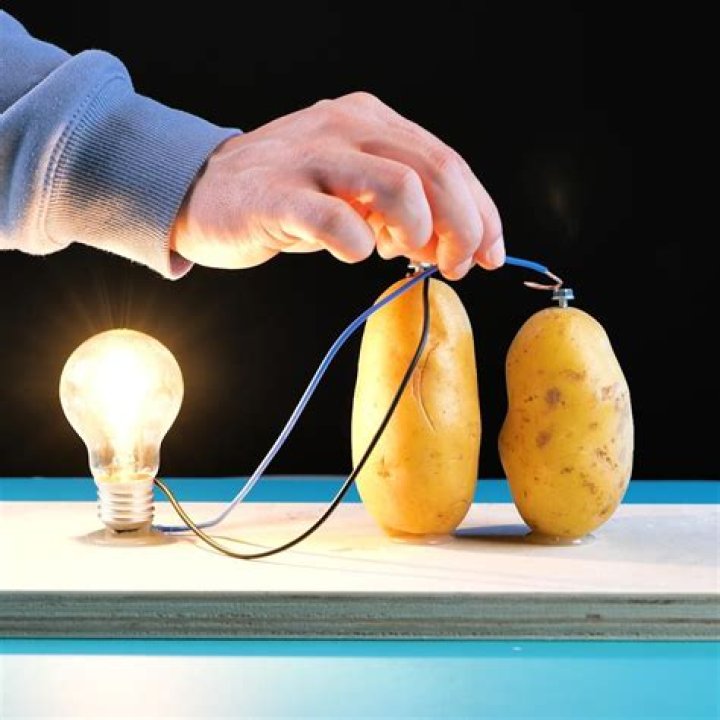 Can an electric eel power a light bulb?