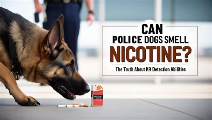 Can police dogs smell Tramadol?