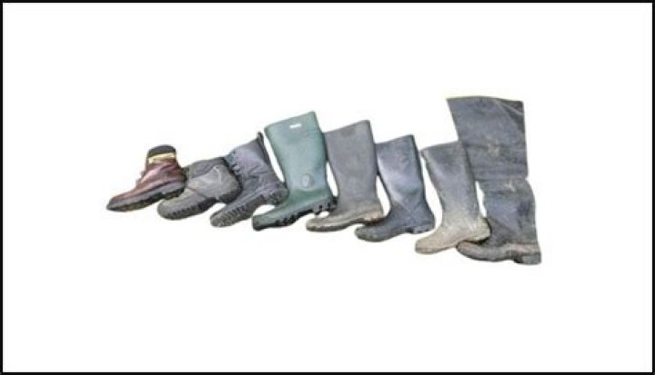 Can snake bite through rubber boots?