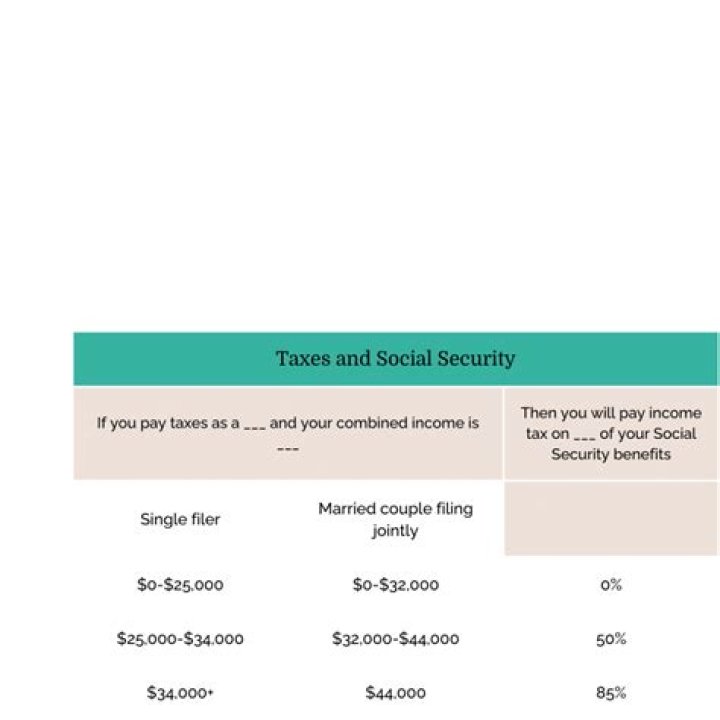 Can the government take your Social Security for back taxes?