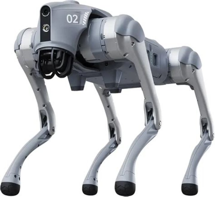 Can you buy a robot dog?