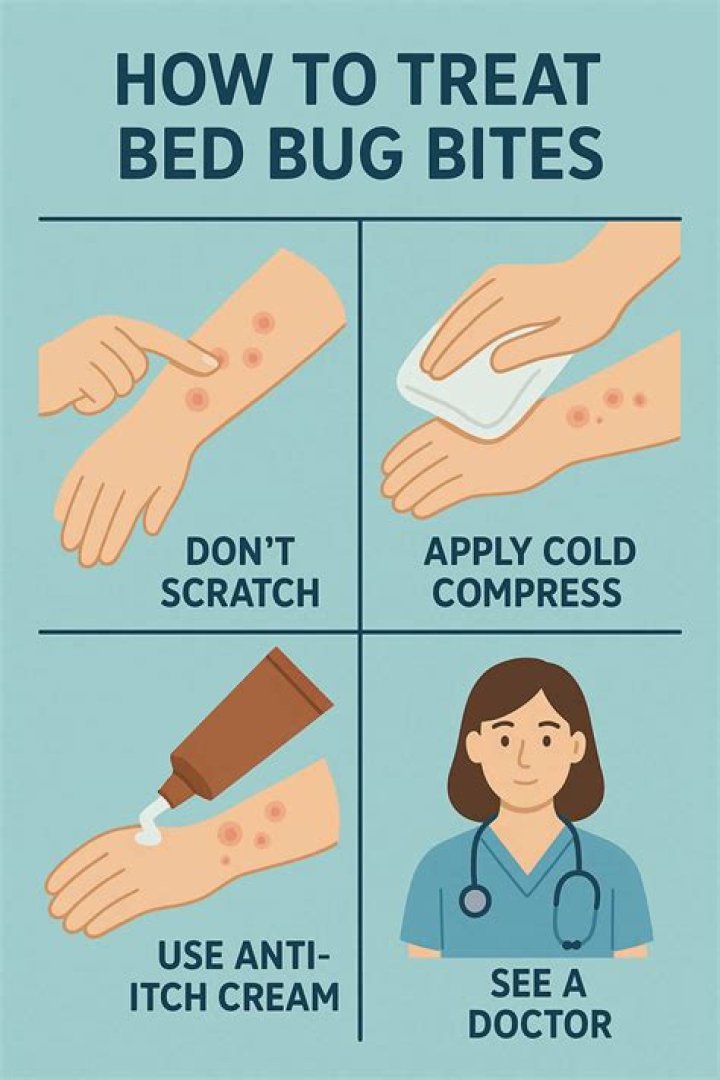 Can you get sick from too many bed bug bites?