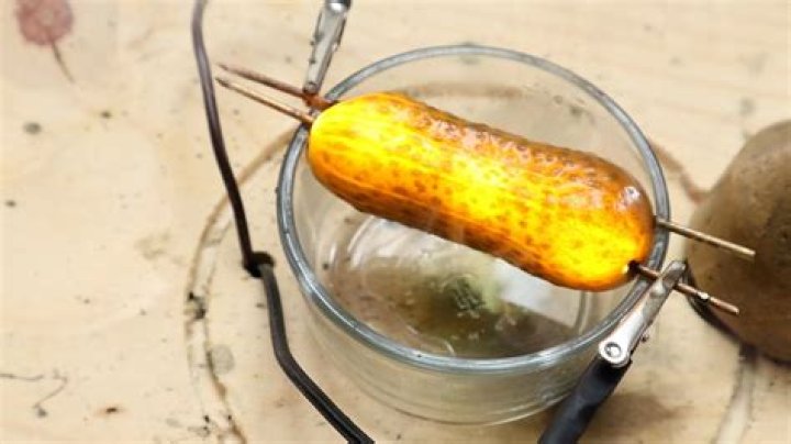Can you use a pickle as a battery?