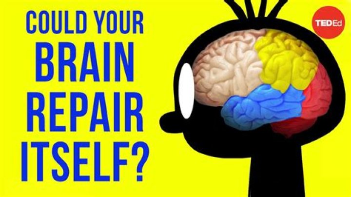 Can your brain repair itself?