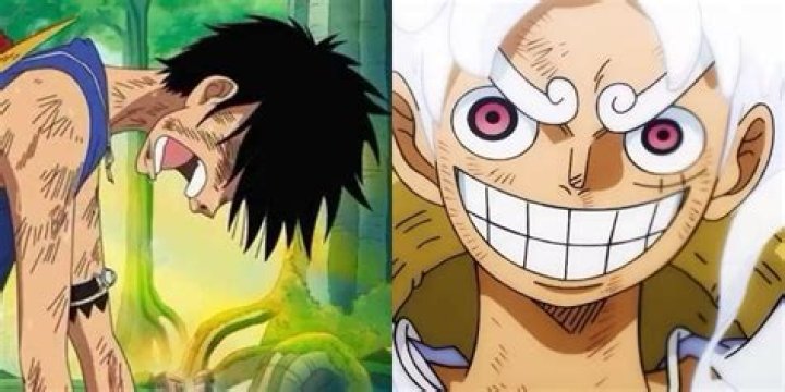 Did Luffy lost 10 years of his life?