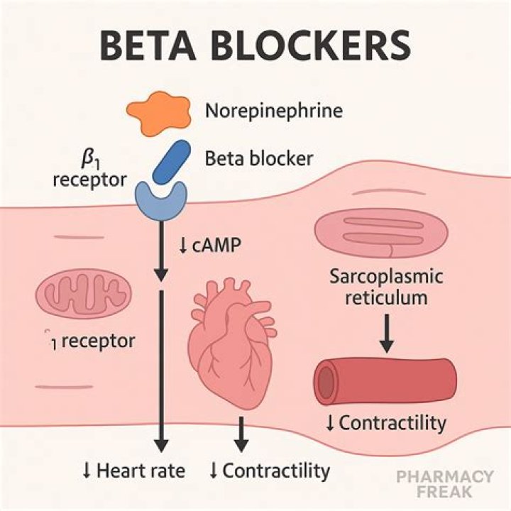 Do beta blockers cause falls?