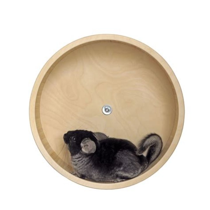 Do chinchillas like running wheels?