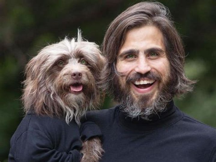 Do dogs end up looking like their parents?