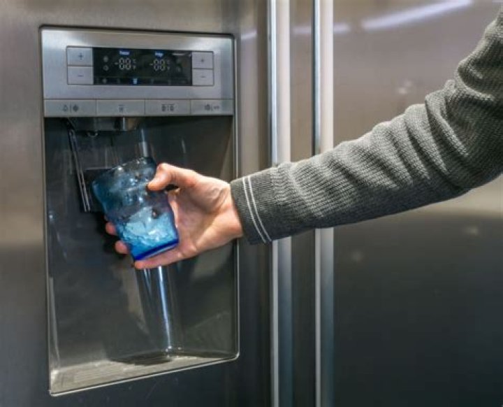 Do fridge filters remove sodium?