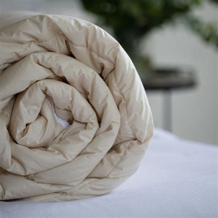 Do homeless shelters take old duvets?