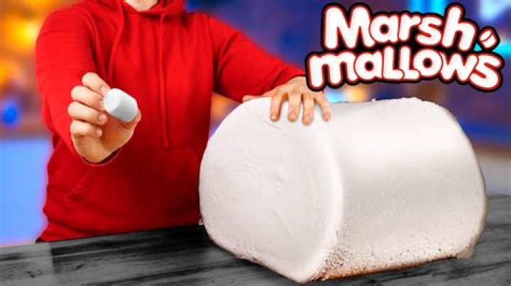 Do marshmallows have fish in them?