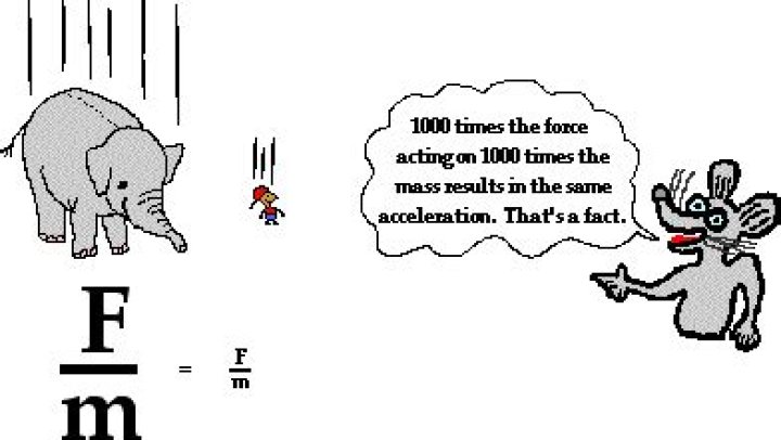 Do objects of different mass fall at the same rate?