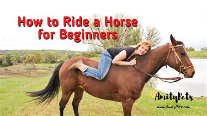 Do you have to ride a horse everyday?