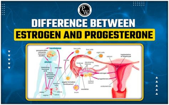 Do you pee more right before labor?