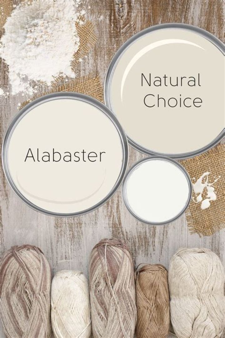 Does Alabaster go with natural choice?
