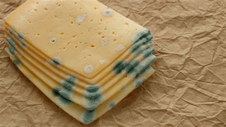 Does cheese shorten your life?