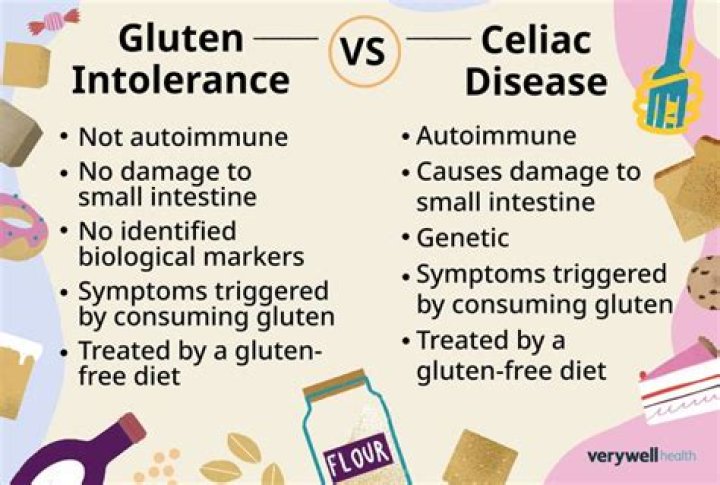 Does gluten make you fat?