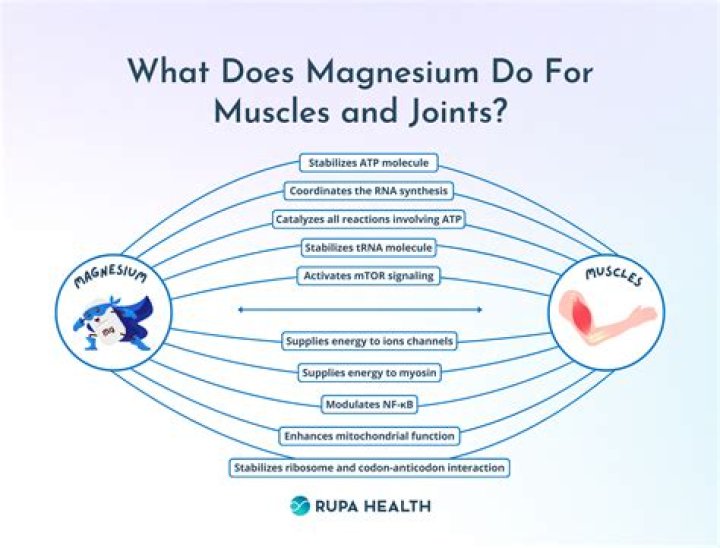Does magnesium help gum disease?
