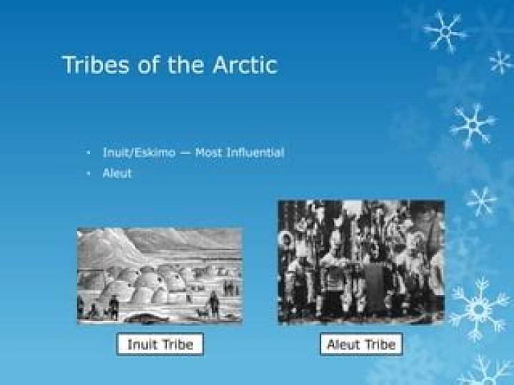 Does the Aleut tribe still exist?
