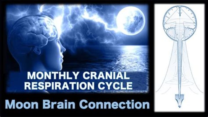 Does the moon affect the brain?