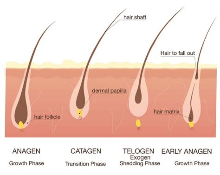 Does turmeric weaken hair follicles?