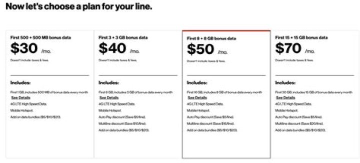 Does Verizon have a $20 plan?