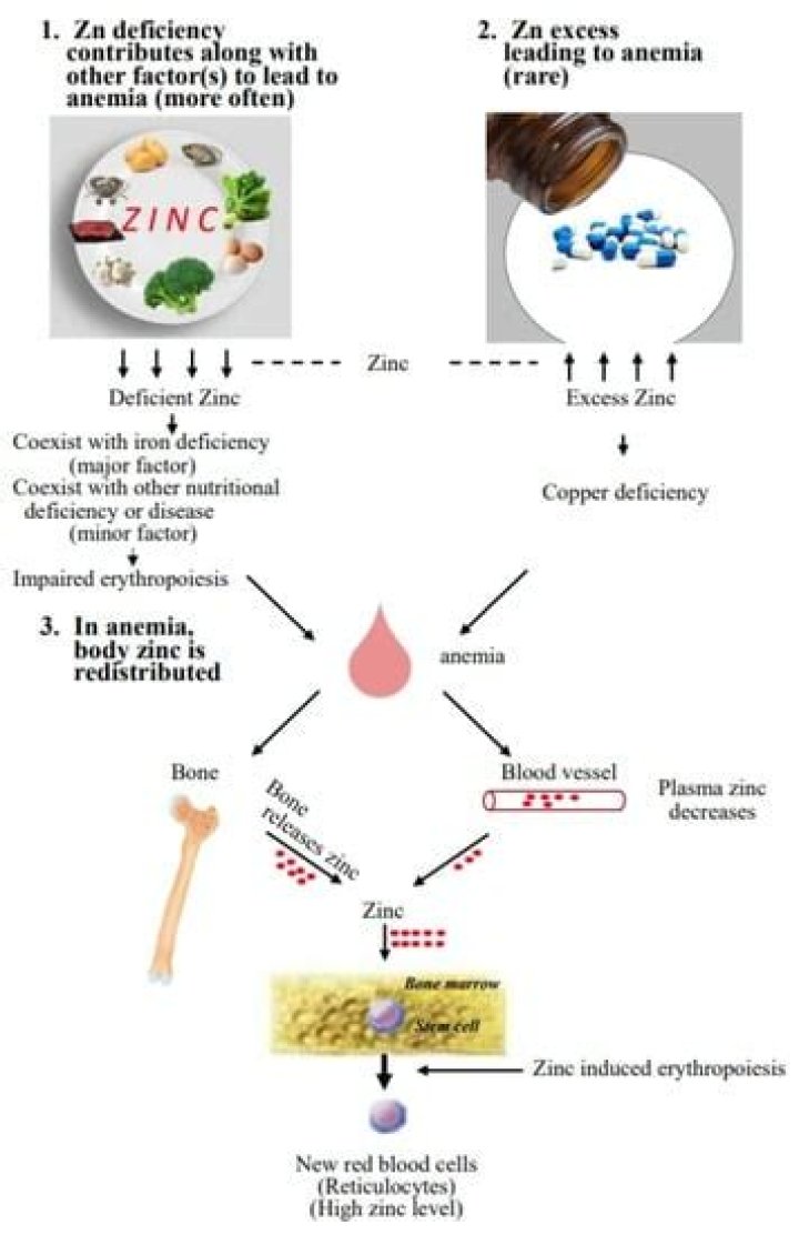 Does zinc cause blood clots?