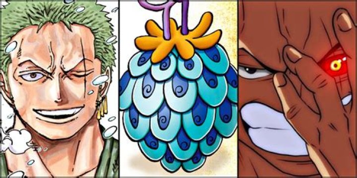 Does Zoro have a Devil Fruit?