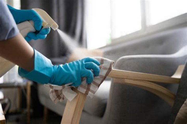 How can I disinfect my house naturally?