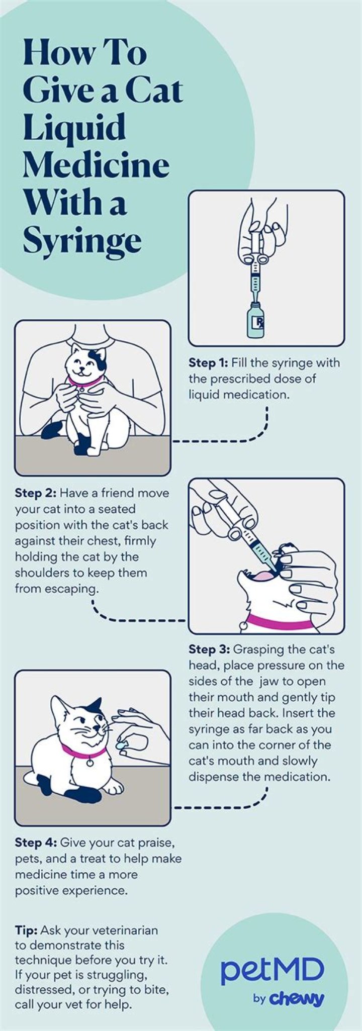 How can I get my hard cat to take medicine?