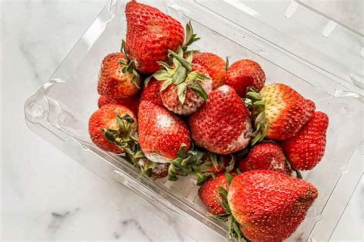 How cold can strawberries survive?