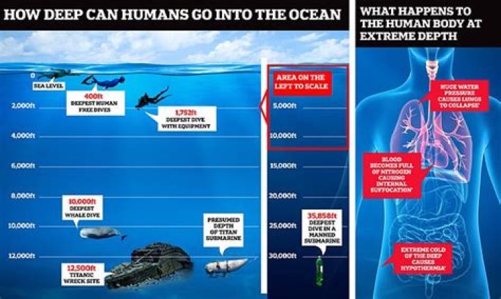How deep has a human dove in the ocean?