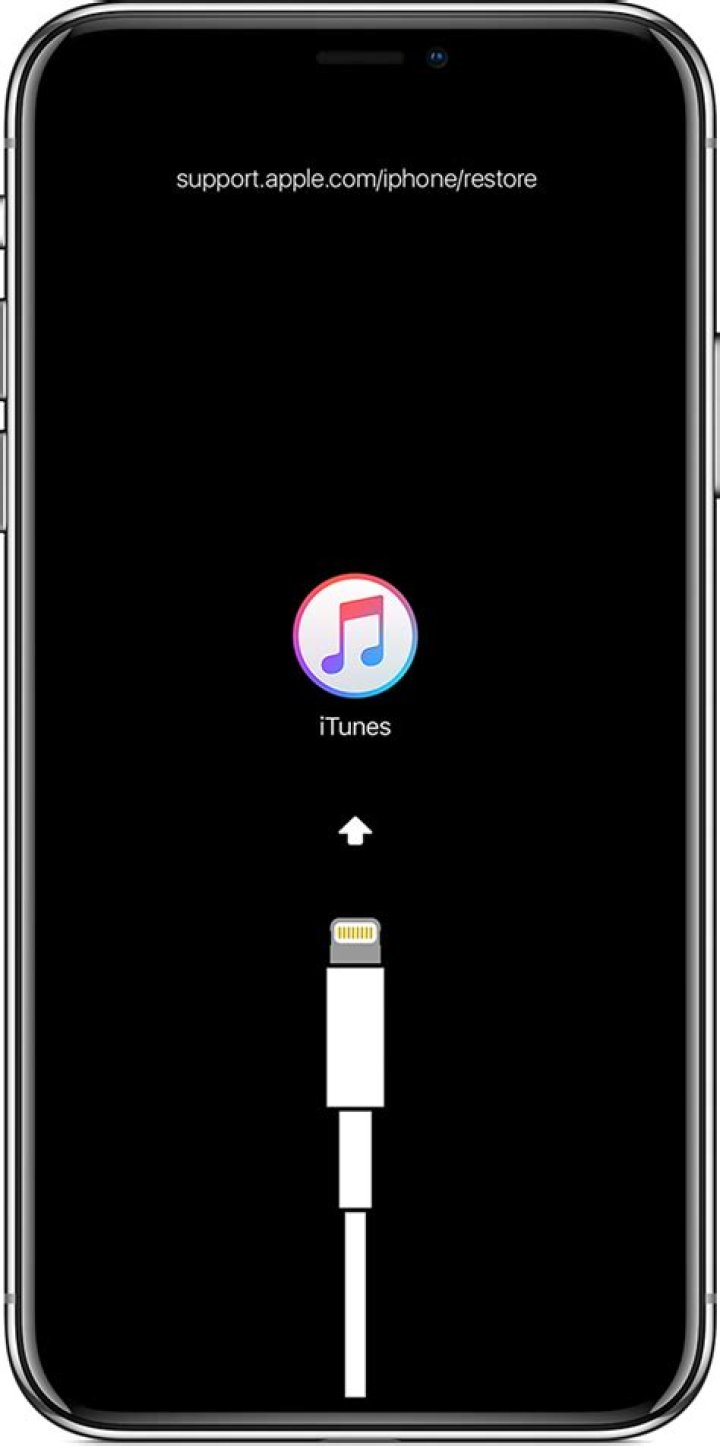 How do I connect my iPhone to iTunes 8?