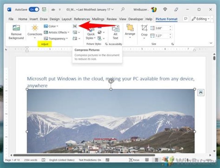 How do I reduce the Size of a picture in Word 2010?