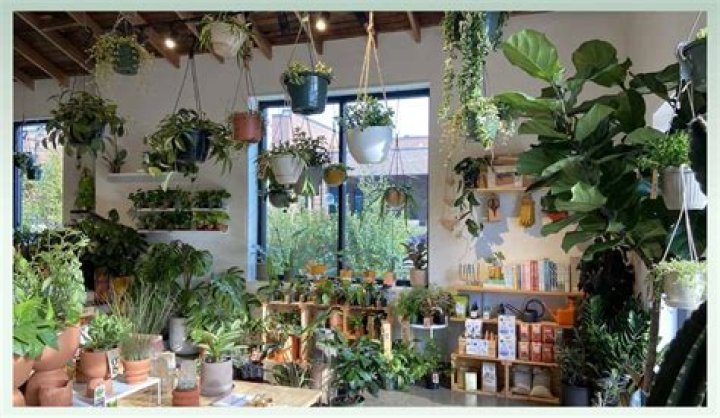 How do I start a plant business from home?