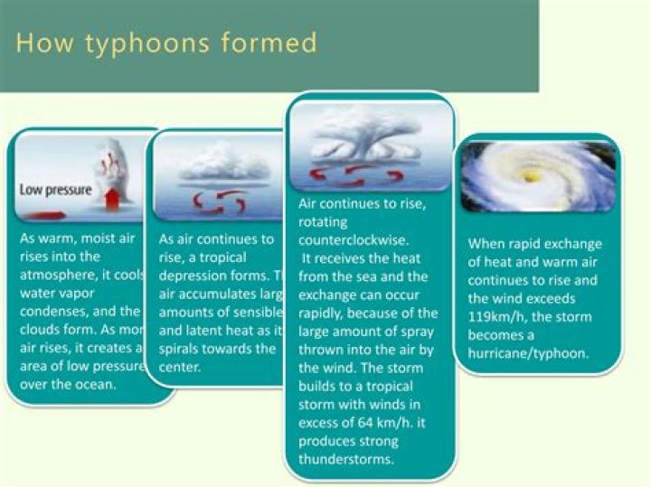 How do typhoons affect buildings?