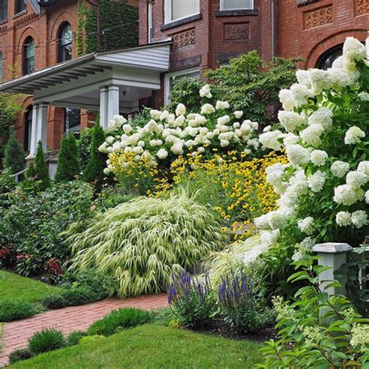 How do you beautify the front of a house?