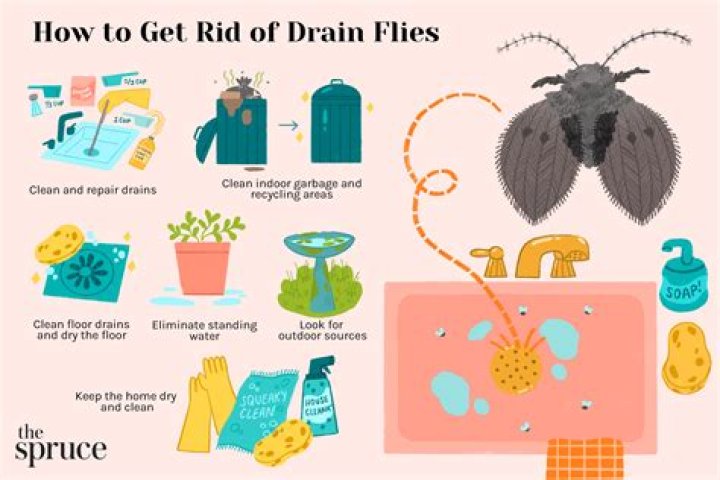 How do you get rid of outside drain fat?