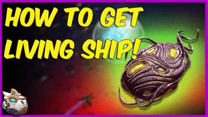How do you get the Void Egg in no man's sky?