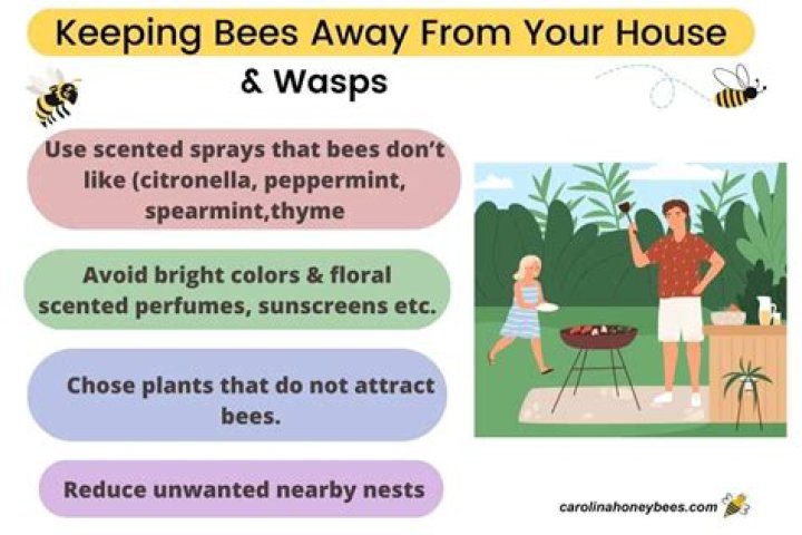 How do you keep flies and wasps away when eating outside?