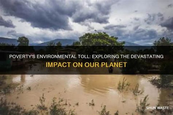 How does poverty impact the environment?