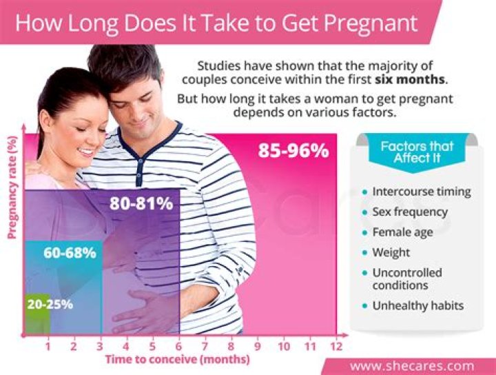 How long does it typically take to get pregnant?