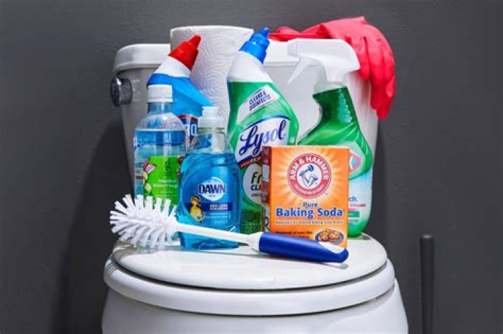 How long should toilet cleaner sit?