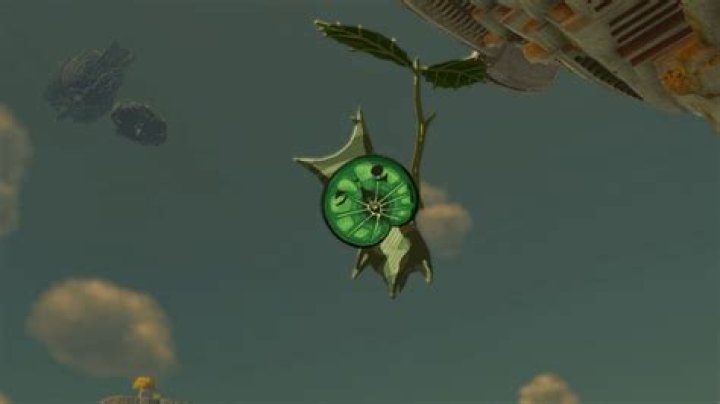 How many Korok Seeds do you need to fully upgrade?