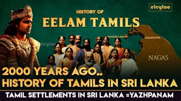 How many Tamilians are there in the world?