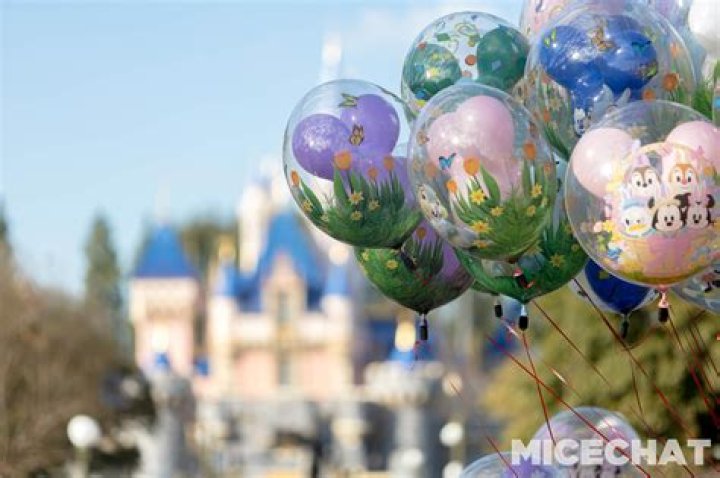 How much are balloons at Disneyland Paris?